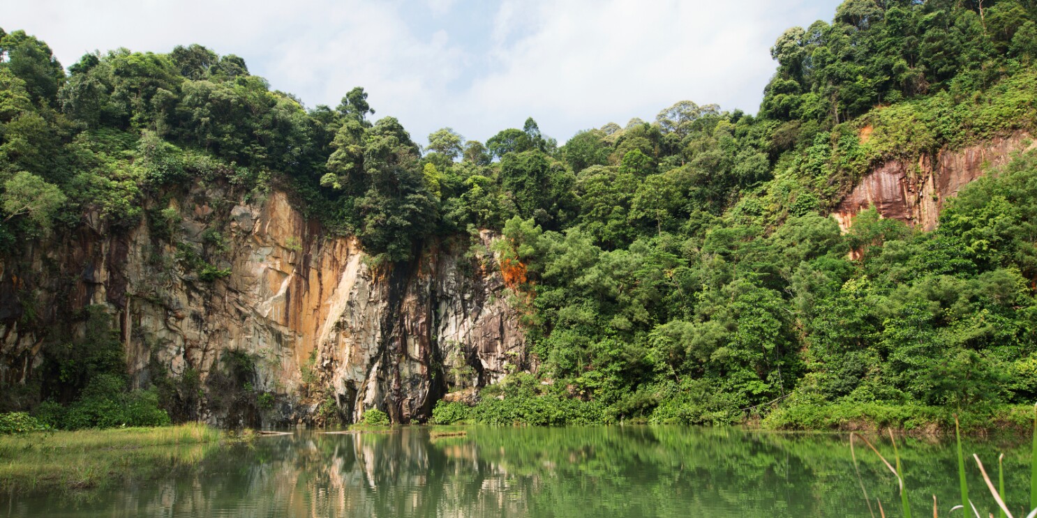 Bukit Timah Nature Reserve Top 10 Unforgettable Dating Spots in Singapore for Memorable Moments