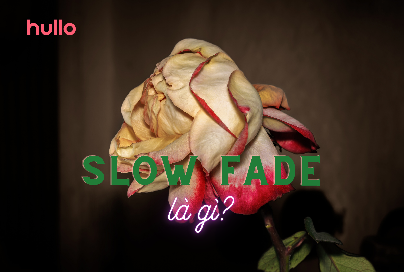 Slow Fade là gì?