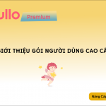 Giới thiệu Gói Người Dùng Cao Cấp – Premium của Hullo