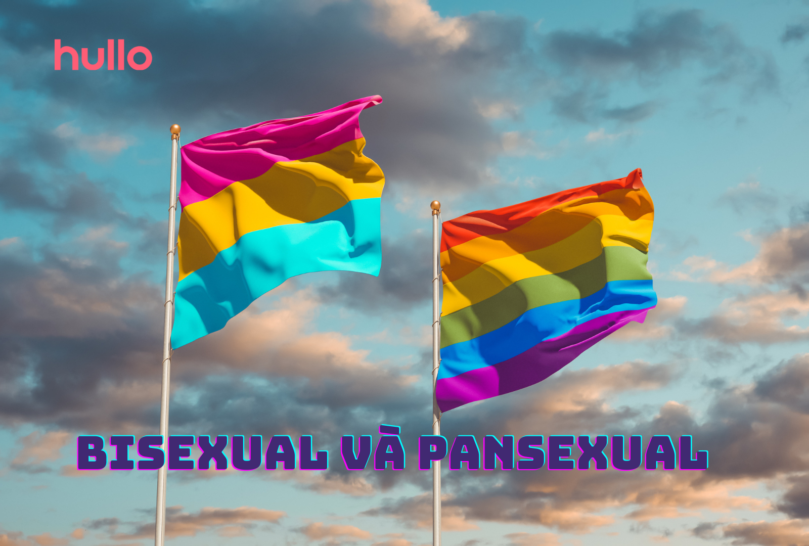 bisexual và pansexual