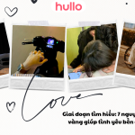 Giai đoạn tìm hiểu 7 nguyên tắc vàng giúp tình yêu bền chặt