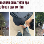 Dấu Hiệu Crush Cũng Thích Bạn Trước Khi Bạn Tỏ Tình